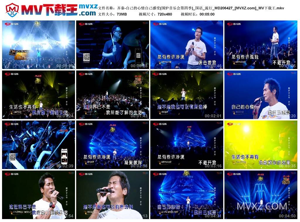 齐秦-自己的心情自己感受(围炉音乐会第四季)_国语_流行_MD206427